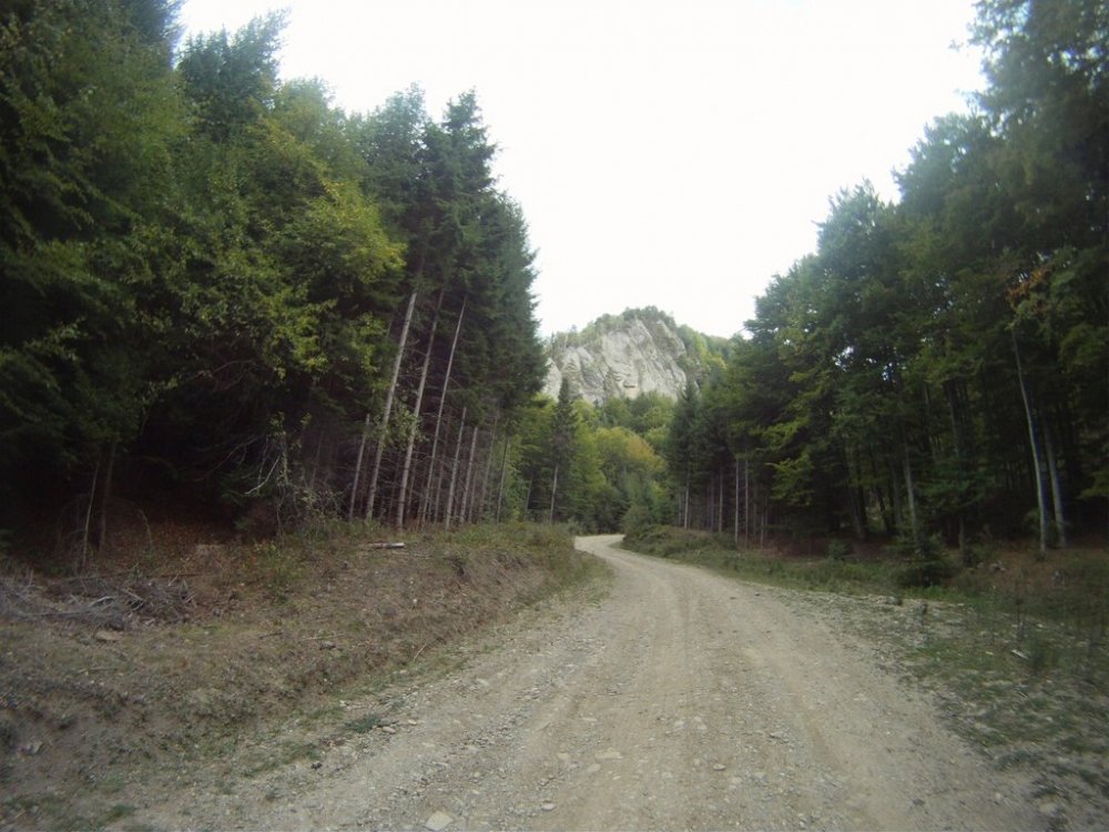 GOPR9708.thumb.jpg.2745233dfc357e9fa157ed832ca95765.jpg