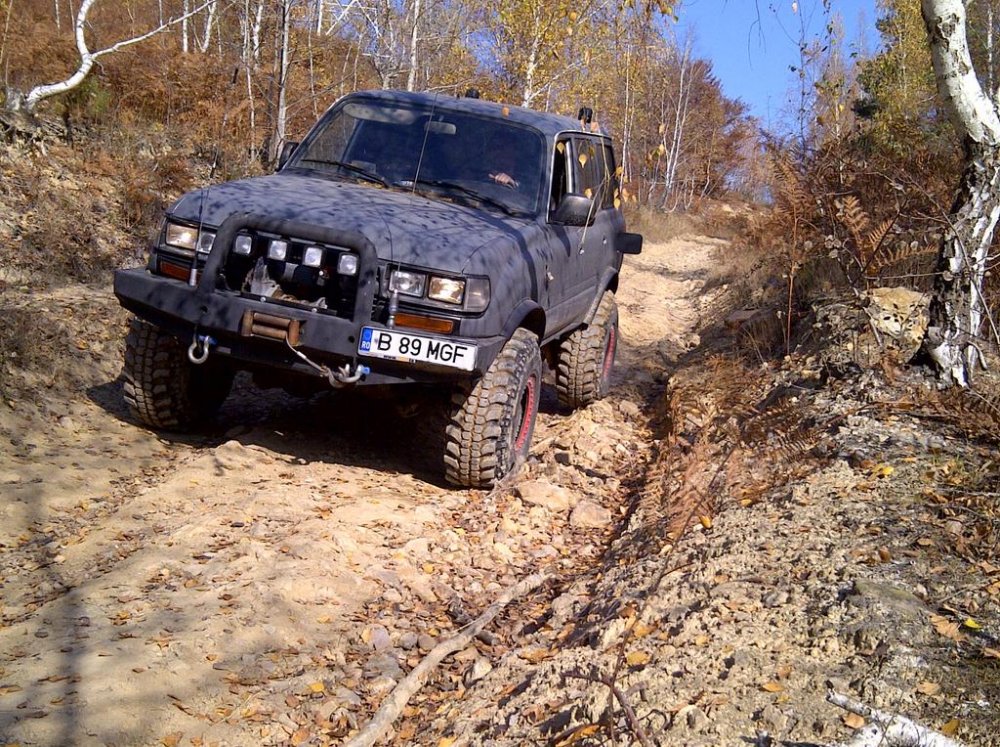 IMG-20111108-00048.thumb.jpg.c1452222d52cebf8420e76e1f8e7536b.jpg