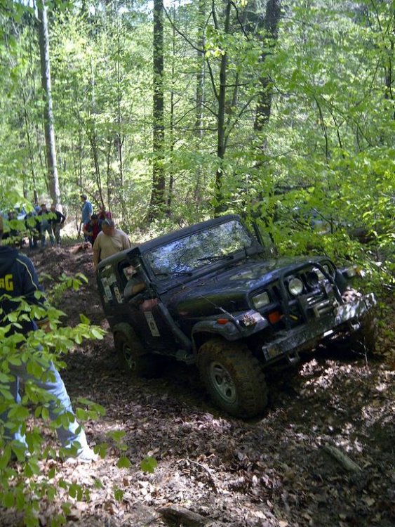IMG-20120427-00288.thumb.jpg.368274e161e347964b167cdaf966b104.jpg