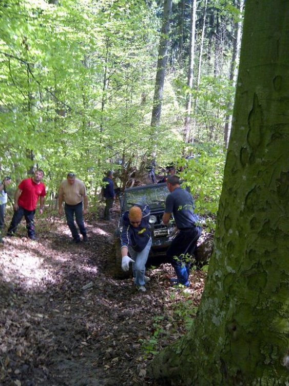 IMG-20120427-00290.thumb.jpg.f5c2e92a65725625bda9fdfdcbe84bed.jpg