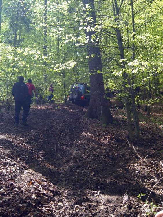 IMG-20120427-00344.thumb.jpg.b7c5679a43fba23e28b4c3c9a1a25c6f.jpg