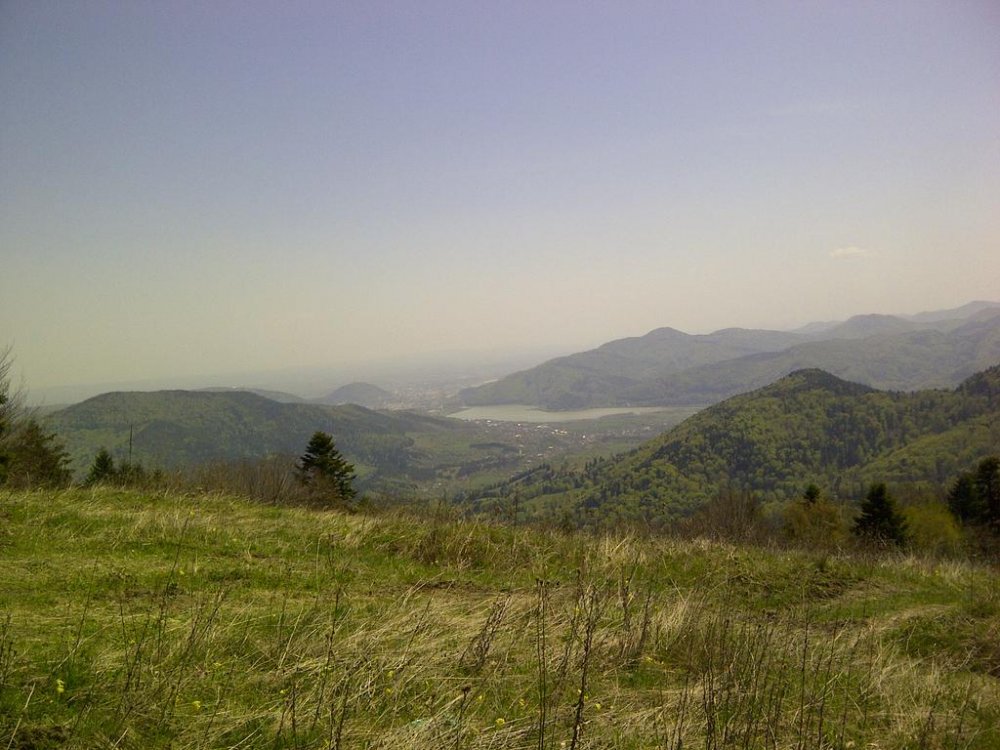 IMG-20120428-00483.thumb.jpg.5f6666a8781a092f265f97ececb5b7f3.jpg