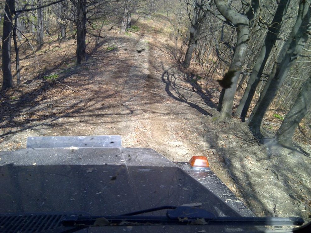IMG-20120428-00491.thumb.jpg.439c9b87922020ab0dfe55234a27c978.jpg