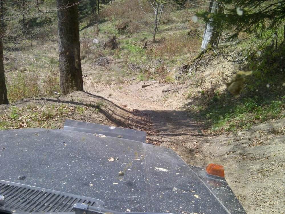 IMG-20120428-00494.thumb.jpg.59176fb441cdfedde8d7b72cda8d2bd9.jpg