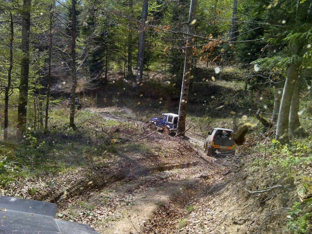 IMG-20120428-00498.thumb.jpg.e4a5b9d588694859c2632efb912652f9.jpg