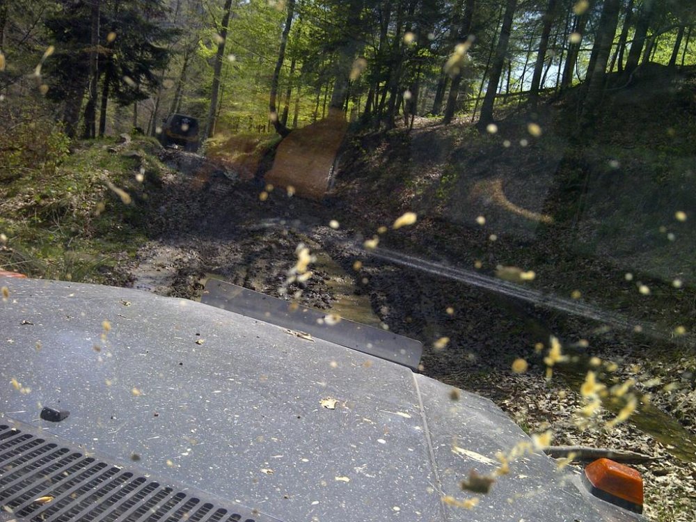 IMG-20120428-00501.thumb.jpg.10778a541fbce9d050ae2a608e1e60ae.jpg