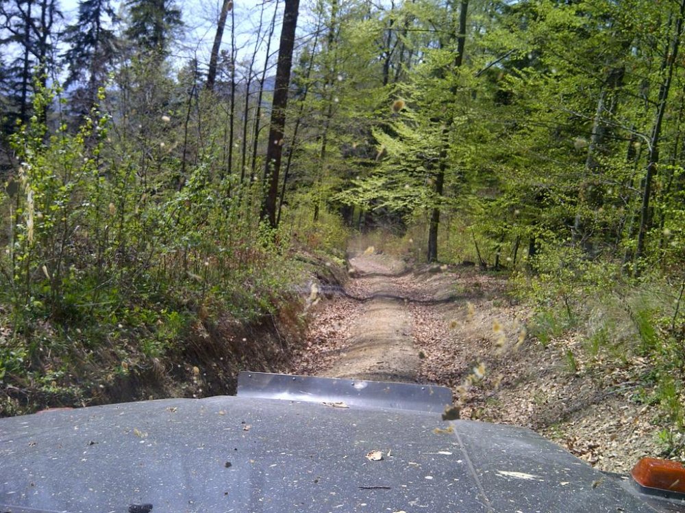 IMG-20120428-00506.thumb.jpg.1d93d9e7cc0ee5c110c0050c4b28a186.jpg