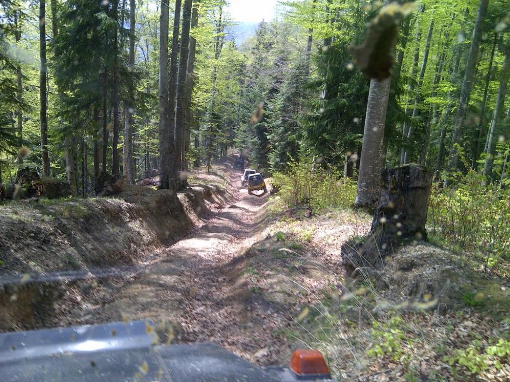 IMG-20120428-00509.thumb.jpg.2a0eb3dc397dbb6a7b5806b690a9f9e5.jpg