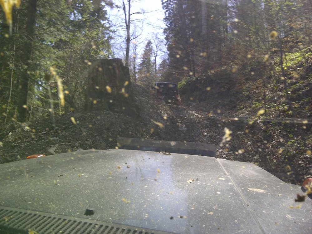 IMG-20120428-00544.thumb.jpg.969471617643ced8a0c74c7cd666bef3.jpg