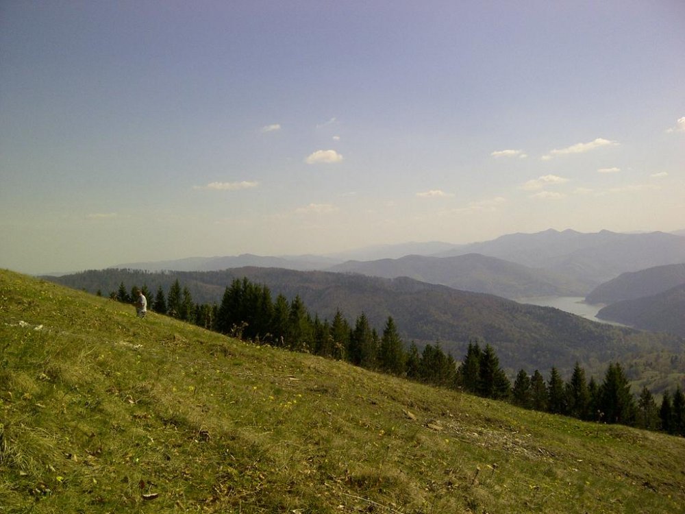 IMG-20120428-00573.thumb.jpg.5e836d3a1c2120a0951a3e03811f7033.jpg