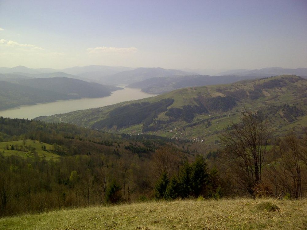 IMG-20120428-00577.thumb.jpg.76663be5682a283fc0f44c04d18c2e8d.jpg