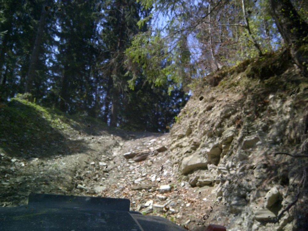 IMG-20120429-00632.thumb.jpg.567b371068c7f2a4f4966c9bd445788d.jpg