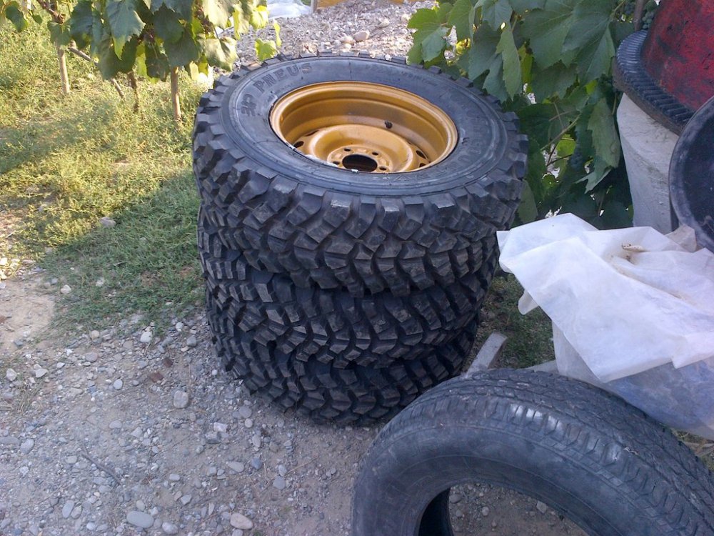 IMG-20120806-00252.thumb.jpg.a0d8aac798205ad44eba7e7fc55ed7d9.jpg