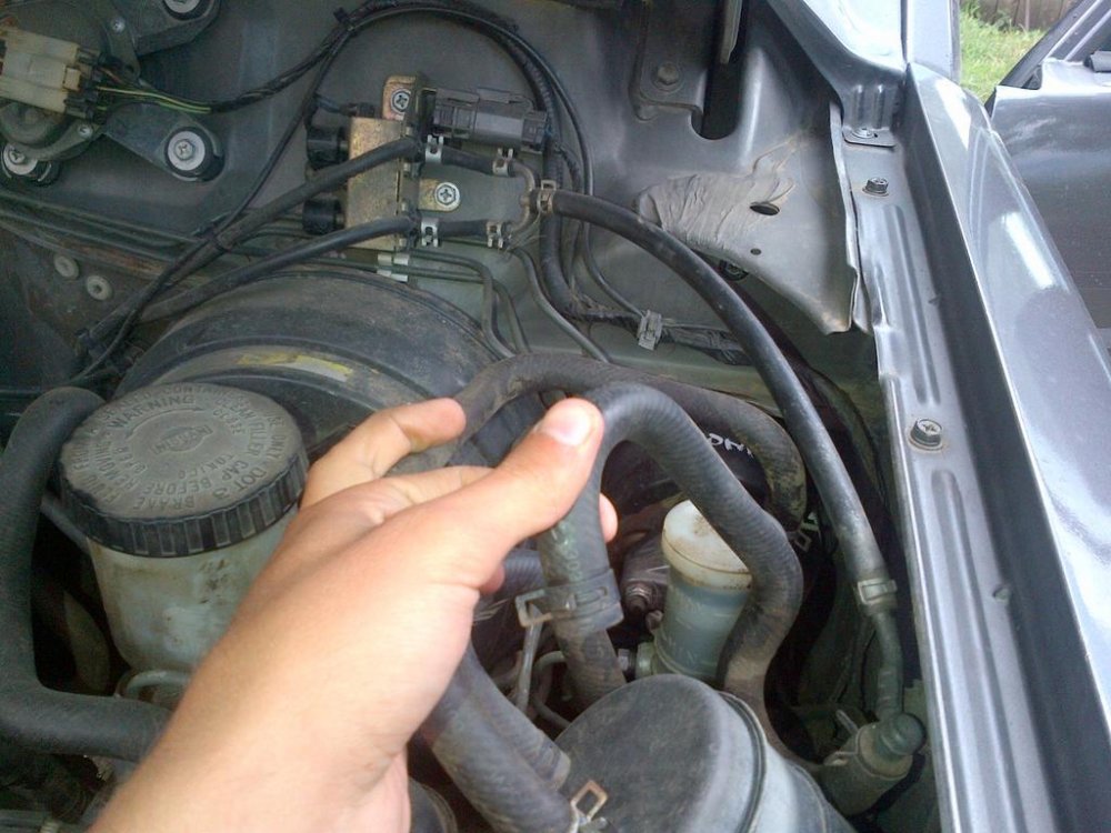 IMG-20120815-00232.thumb.jpg.35c784fb8fed834d4d06c57bcac6114a.jpg