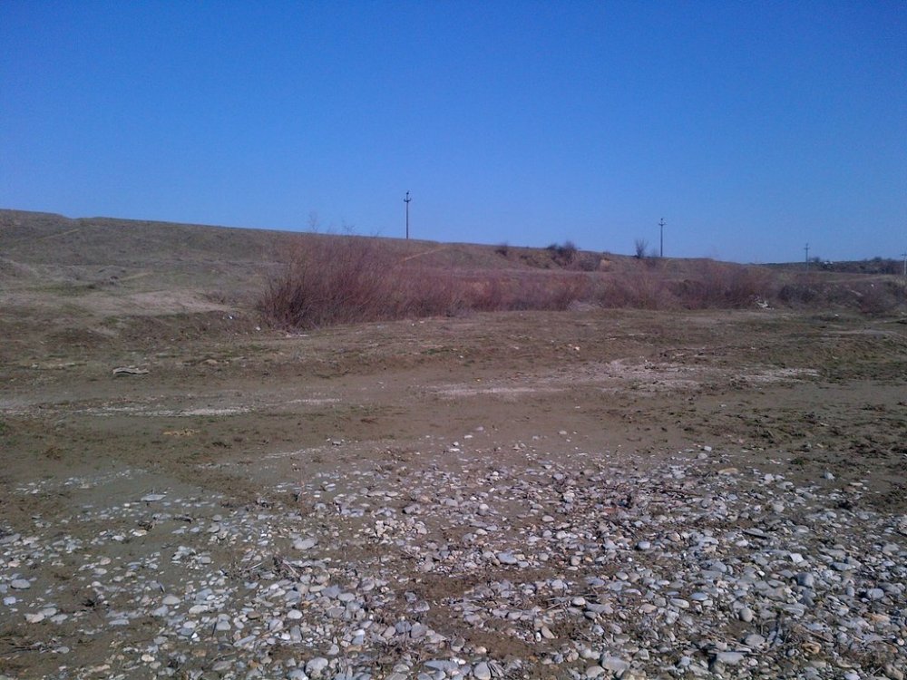 IMG-20130303-00062.thumb.jpg.76932f22382fbe67883e38afa67b482d.jpg