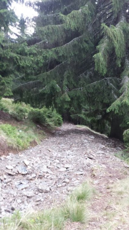 IMG-20130821-WA0010.thumb.jpg.bc54c44303103e2474c46001e19c0a50.jpg