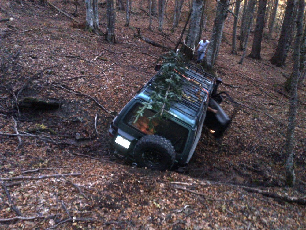 IMG-20131012-01497.thumb.jpg.1ed3d67990664bf355c3cf93d1f8629b.jpg