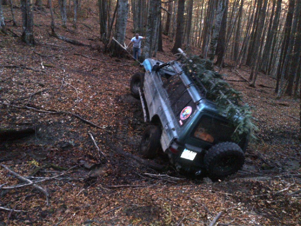 IMG-20131012-01498.thumb.jpg.f001acef7ca264416df17994494c6646.jpg