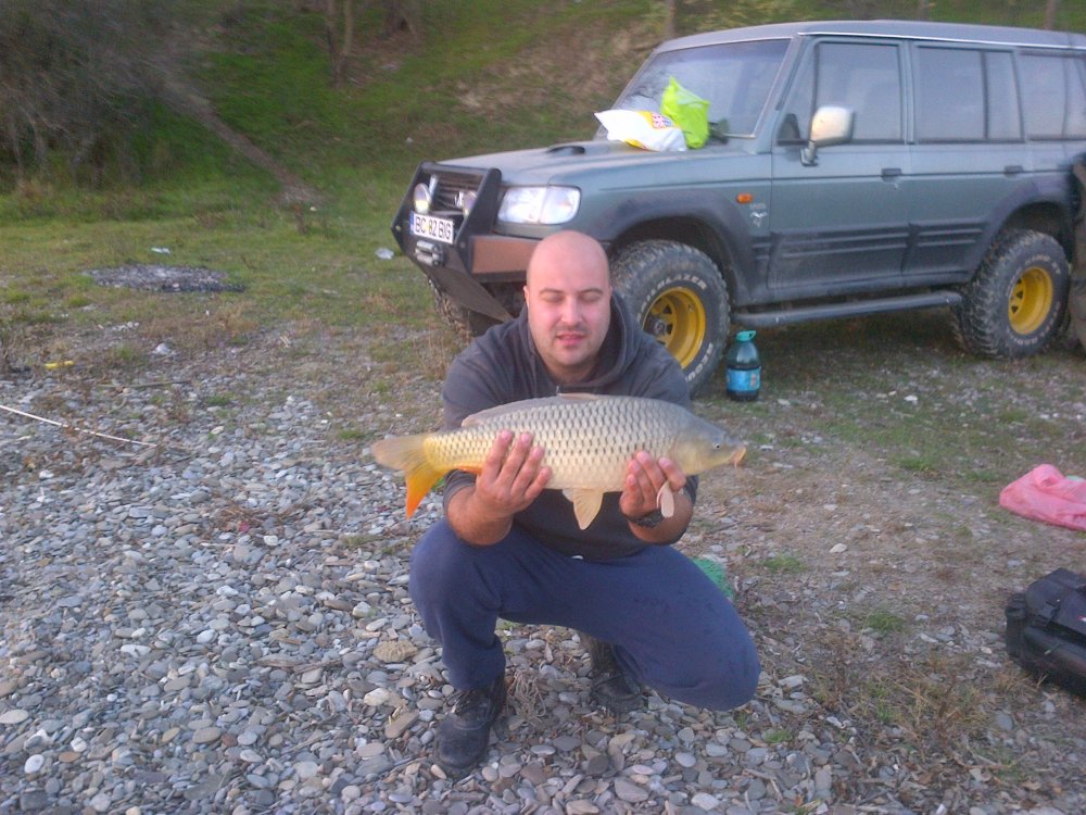 IMG-20131109-00178.thumb.jpg.cbc45f9bda86b51ab323604346774887.jpg