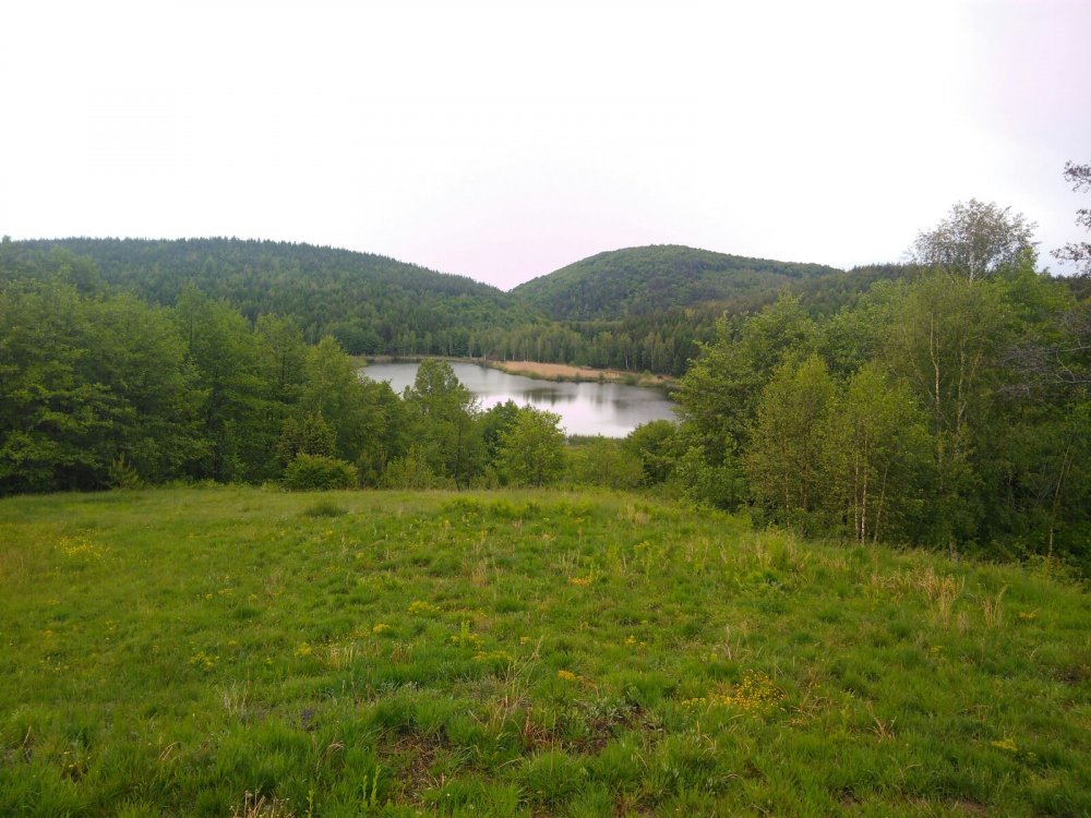 IMG-20170508-WA0003.thumb.jpg.ed853830e31318e0253d99cf8a59bf63.jpg