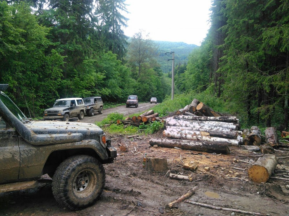 IMG-20170528-WA0050.thumb.jpg.e3628d647129785714ef3ed03a49f378.jpg