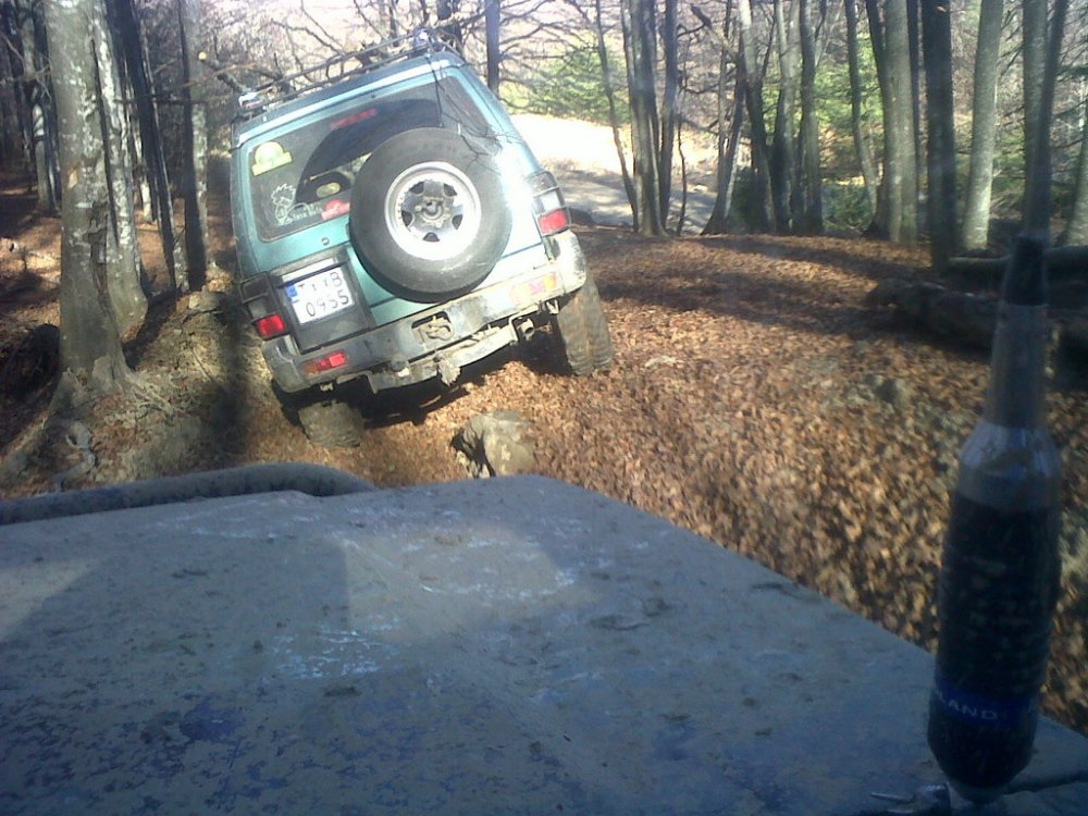 IMG00365-20101114-1237.thumb.jpg.03a9008ba6c07b4151251c0866ae19c4.jpg