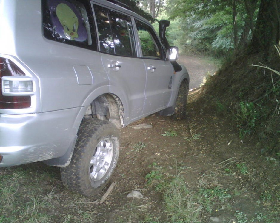 IMG02593.thumb.jpg.e8ff57ed86a294ef9d95378f3c81d9b2.jpg