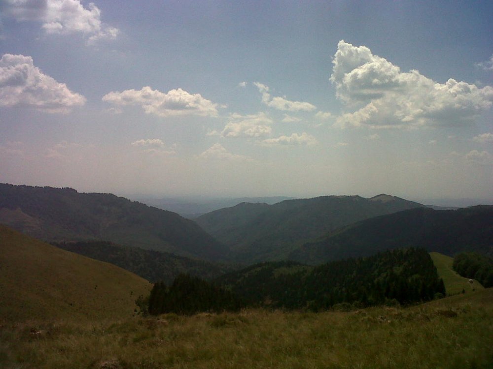 IMG03216-20120804-1312.thumb.jpg.d1f4f2d3a34c1b340caa47c9f45b63fe.jpg