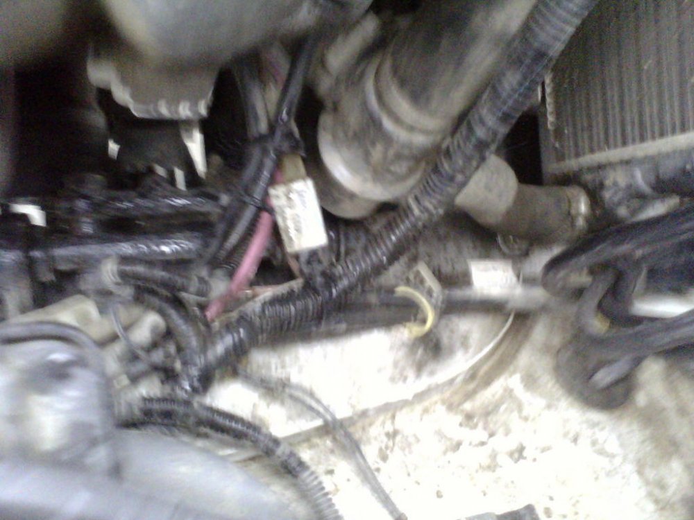 IMG10035.thumb.jpg.4e32919e0a89a492af3f5054a26746b5.jpg