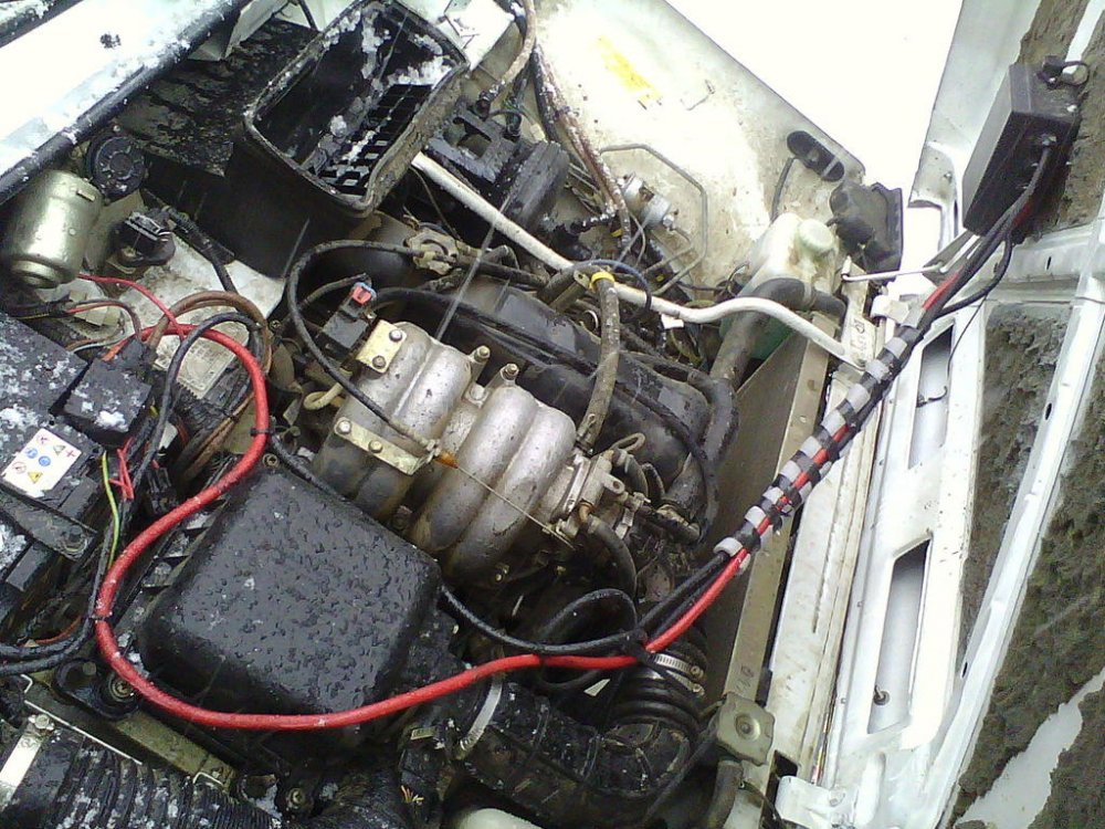 IMG10038.thumb.jpg.00f2d81574e67d0c8bdd08833f573a24.jpg