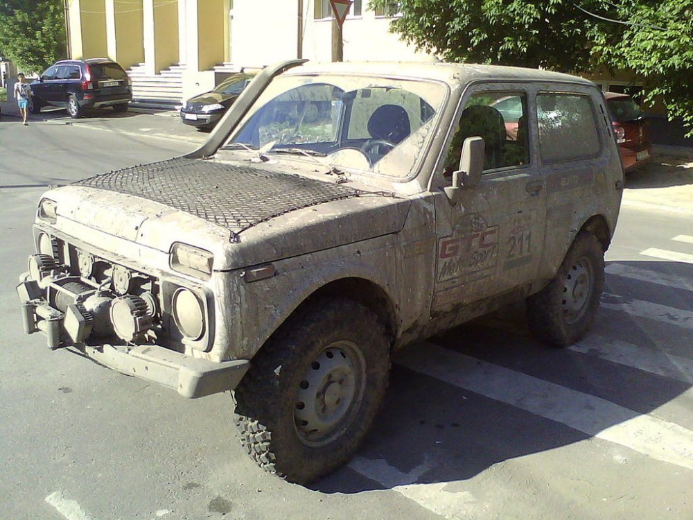 IMG10150.thumb.jpg.1224d689c41f5e1f1c1ed68afc705494.jpg