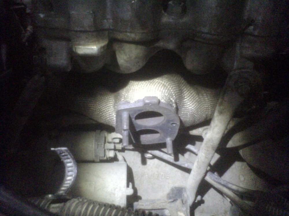 IMG10515.thumb.jpg.928c1aeb329973c54a0e7e8e21ce045c.jpg