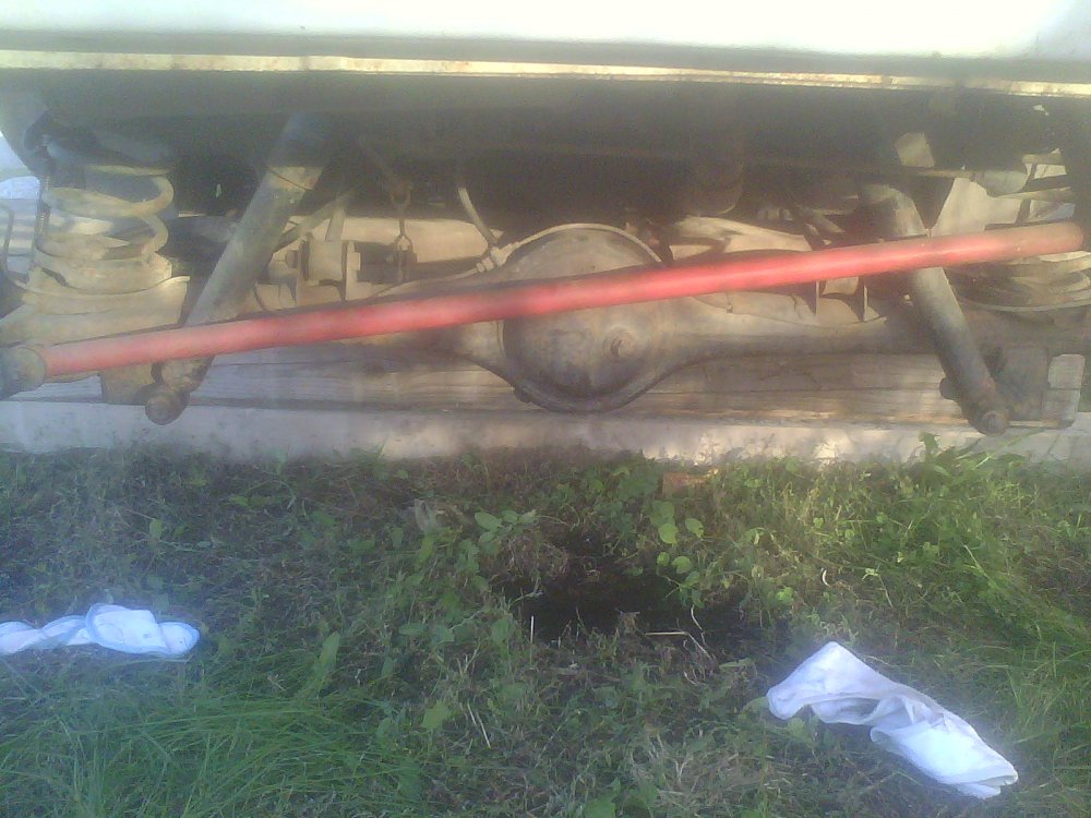 IMG10762.thumb.jpg.5bd96238ef7e9e81d222b9bfa4e92368.jpg