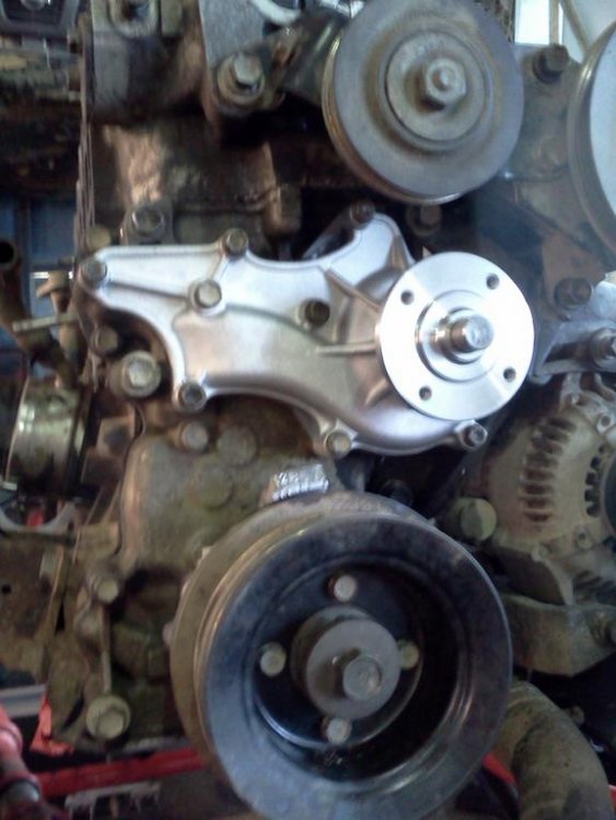 IMG604.thumb.jpg.3257dff170fa96154fe32fc9b37579b3.jpg