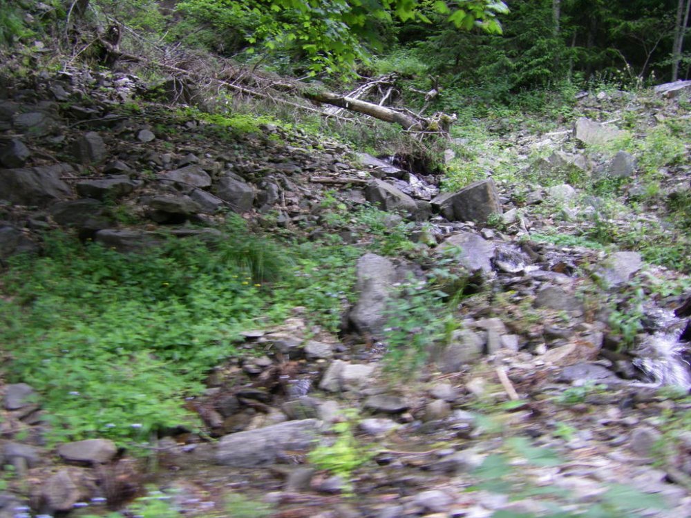IMGP0798.thumb.jpg.2b1ce8913ba30a62753eca7d643955b7.jpg