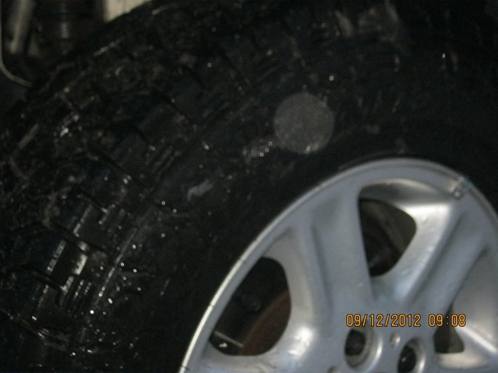 IMG_0002.thumb.jpg.a1028cf1a030b766d8149f0059641df9.jpg