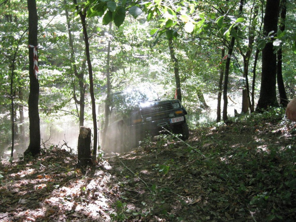 IMG_0093.thumb.jpg.6a35b9b2f2b5f51ca7a0f31a654a20c7.jpg