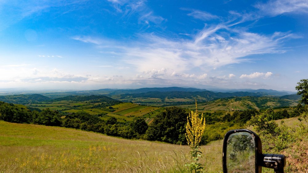 IMG_0253-Pano.thumb.jpg.3cb43cb058a27b0ab4a4e7859ddc9367.jpg