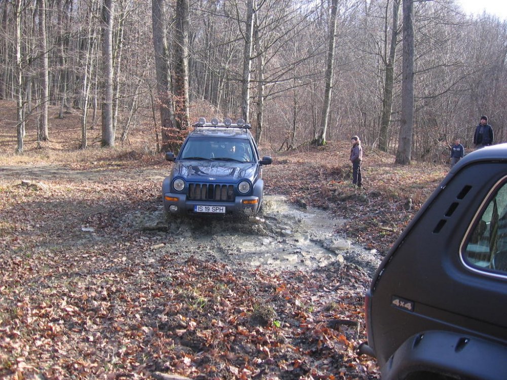IMG_1193.thumb.jpg.67a6644da03930f08eadf92b44a97fc0.jpg