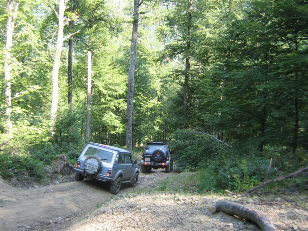 IMG_1585.thumb.jpg.a0cd4c11e315cc919221c0ed775f2a52.jpg