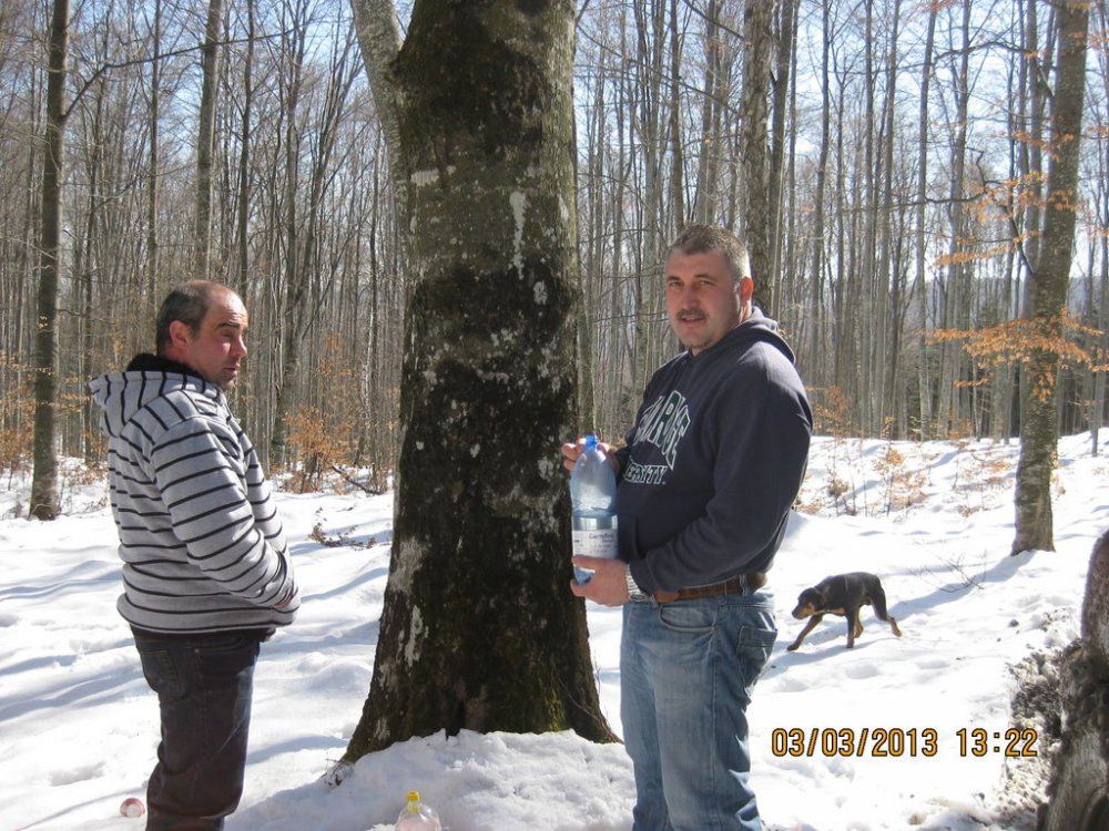 IMG_1790.thumb.jpg.1fbd08fc3eb59da539ee9313e25ceb4f.jpg