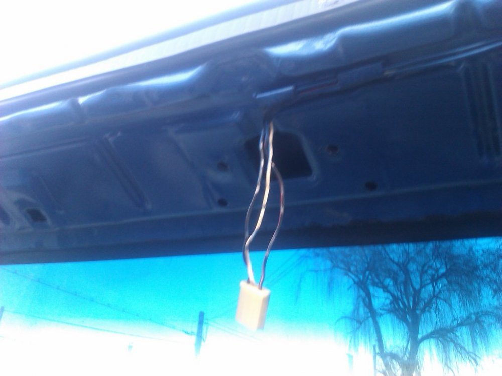 IMG_20121228_155818.thumb.jpg.7429f58eafdf5c156a7243ede325d880.jpg