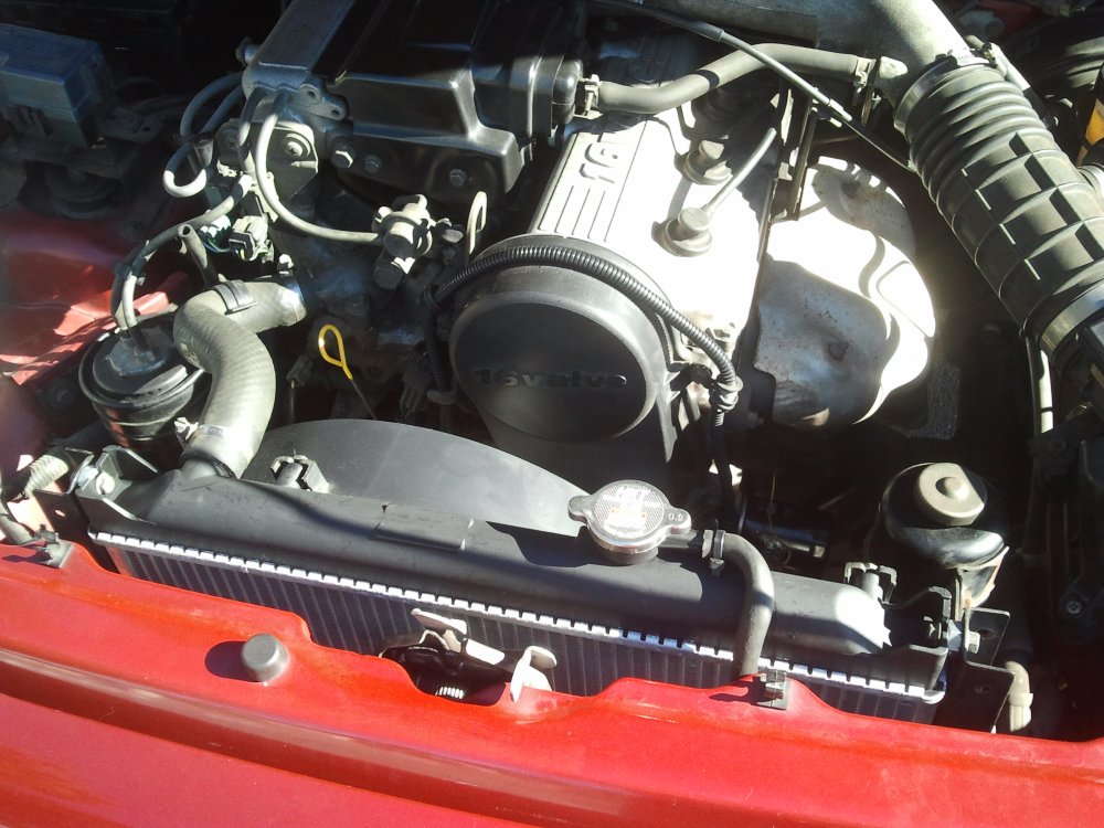 IMG_20131005_113153.thumb.jpg.3ae4b12e0322aac7d226d129be3cb5e2.jpg