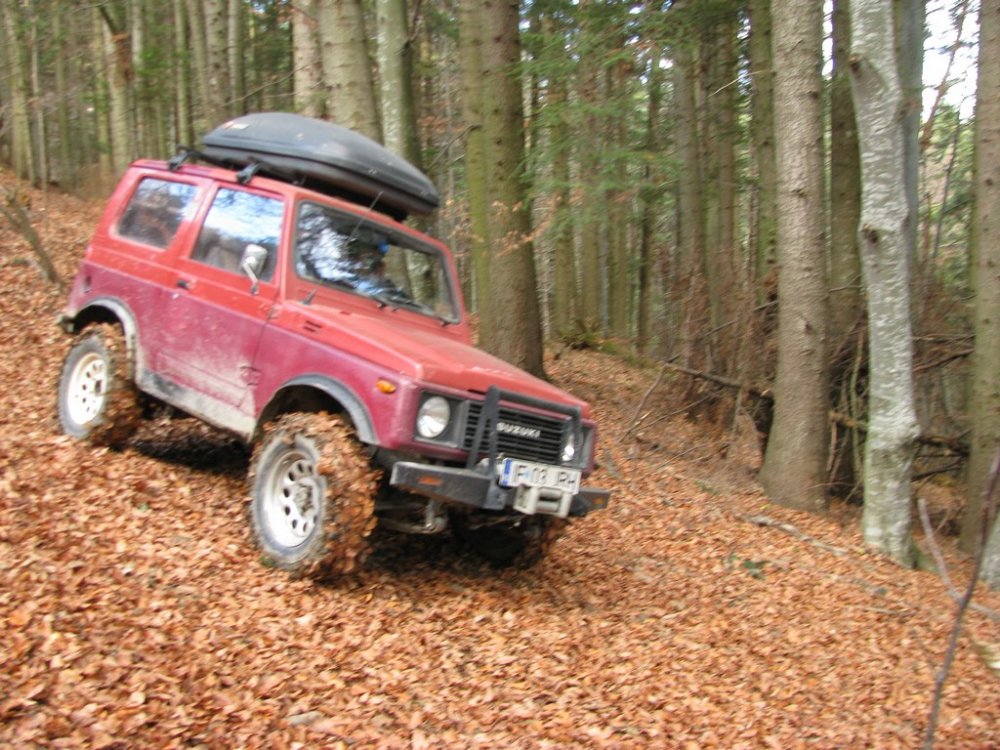 IMG_3455.thumb.jpg.30ec61aa6c497f3bfcfe047d3083ceed.jpg