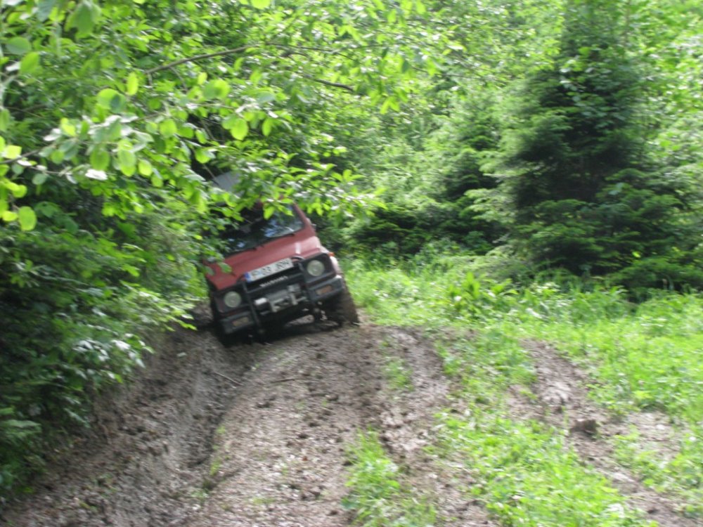 IMG_5303.thumb.jpg.68c7eca19cf346f62e6859d9263bd7b2.jpg