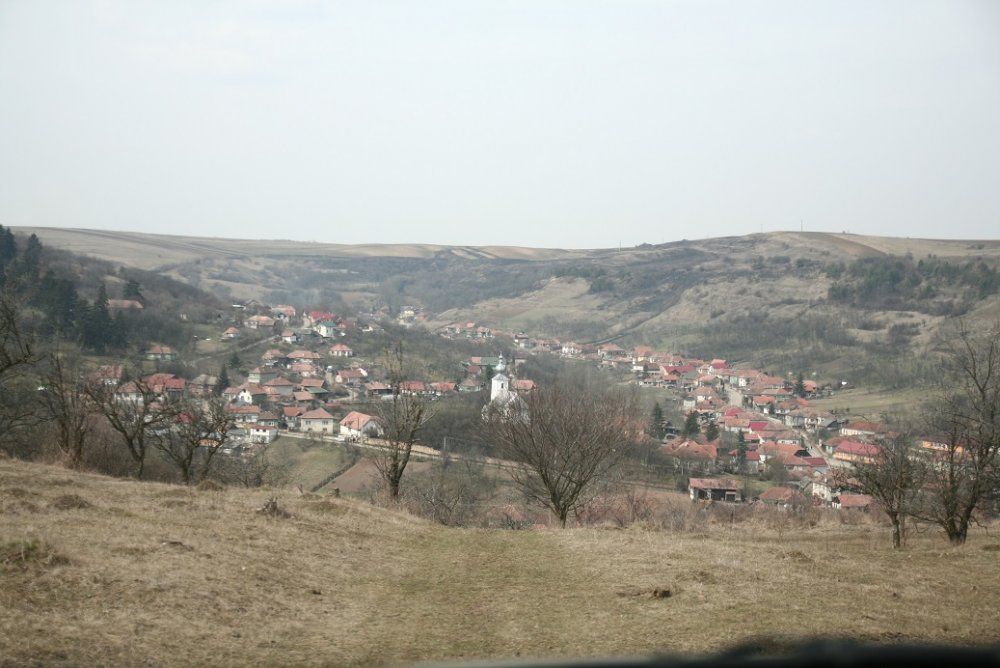 IMG_5374.JPG