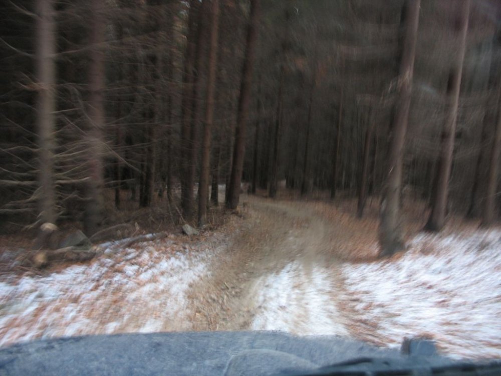IMG_6082.thumb.jpg.b5a6158d19e60568ace8c22b4b51b214.jpg