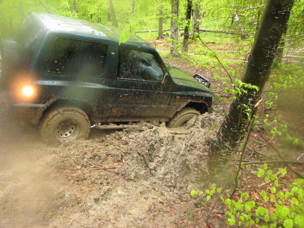 IMG_9259.thumb.jpg.f5b08ae57739b7c3731ea1dc3fa89634.jpg
