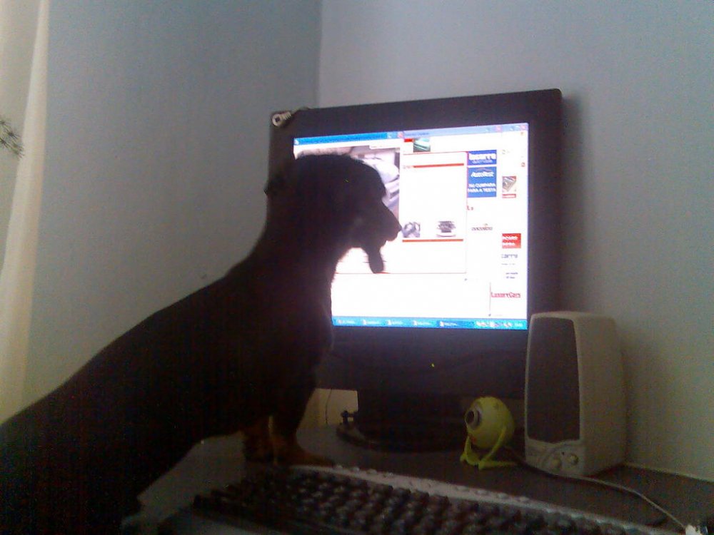 Imag021.thumb.jpg.b9a03ddbd428718d1438e5684fd43321.jpg
