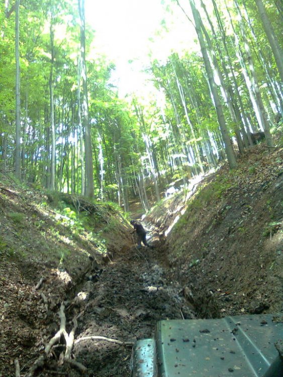 Image0277.thumb.jpg.fbe119b4dbd9c855b07b075c970d5d15.jpg
